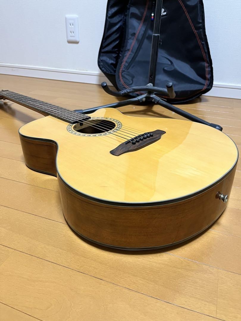 Aria TG-1N アコースティックギター 弦交換済み ソフトケース付き