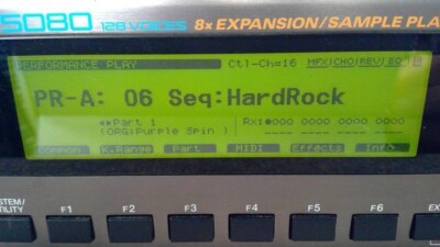 Roland XV-5080 Synthesizer Rack Module Huge selection of built-in