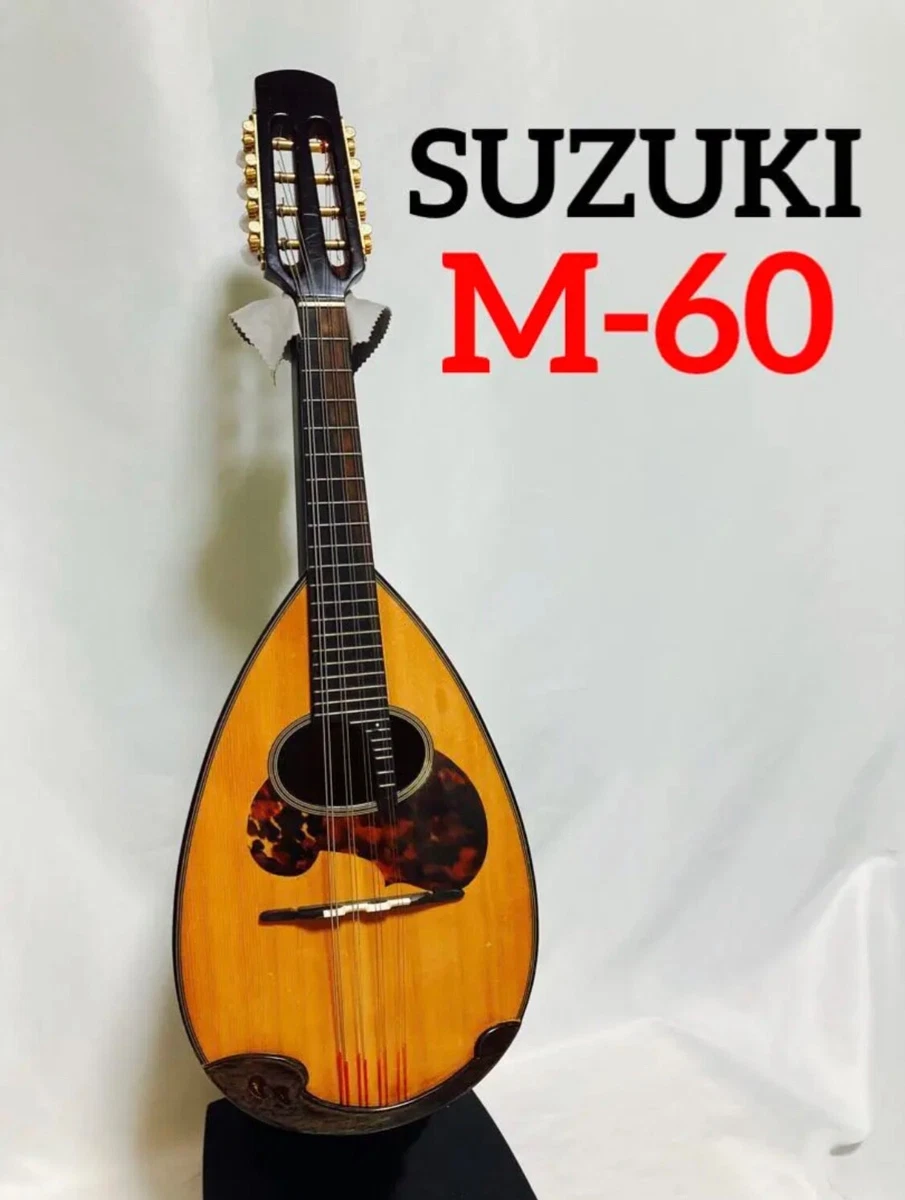 鈴木バイオリン マンドリン No.226 1968 SUZUKI VIOLIN - 弦楽器