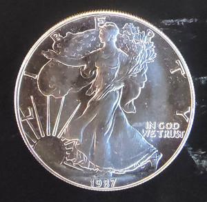 1987 Walking Liberty | eBay