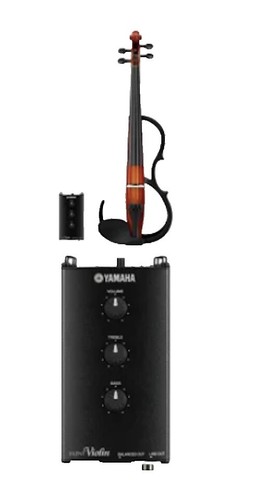 Josef Klotz in Mitten Walden Anno 1795 4/4 size violin with case