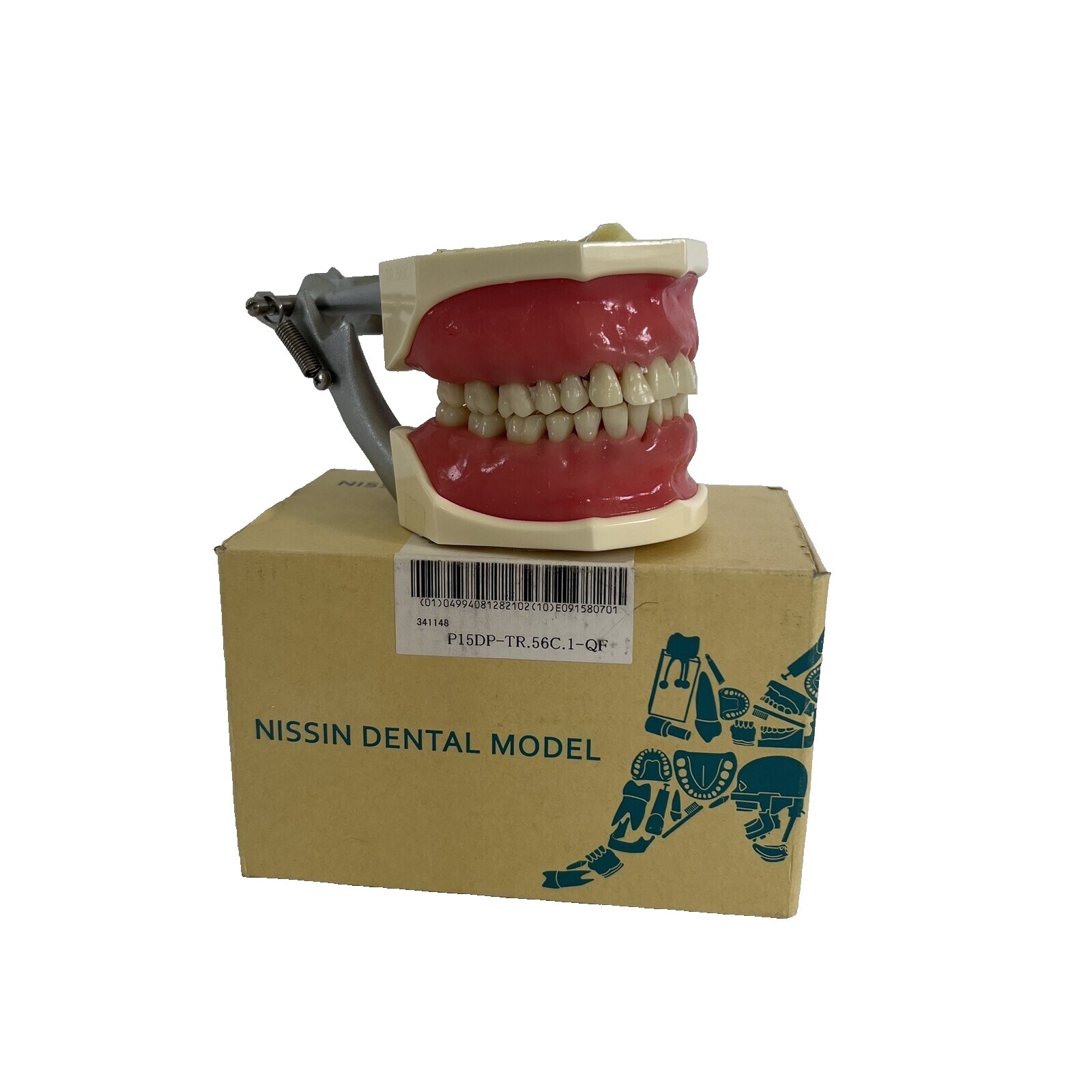 Nissin Dental | eBay