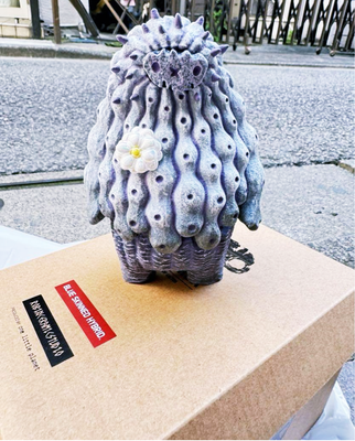 羅本製所COPIAPOA MONSTER Blue Skinned Hybrid