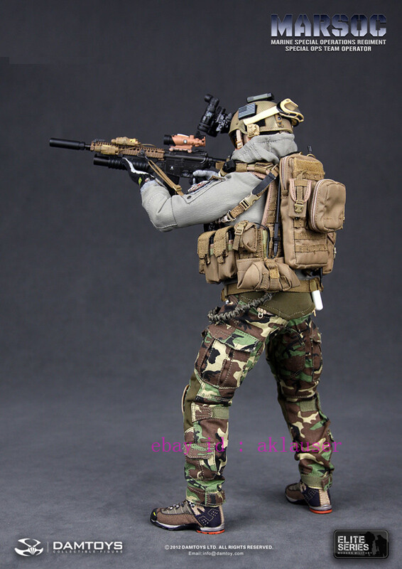 Damtoys Dam78007 1/6 Marsoc Marine Special Operations Regiment