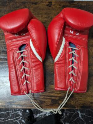 Winning Boxing Gloves MS-500 14 oz Lace-up Professional Type Red