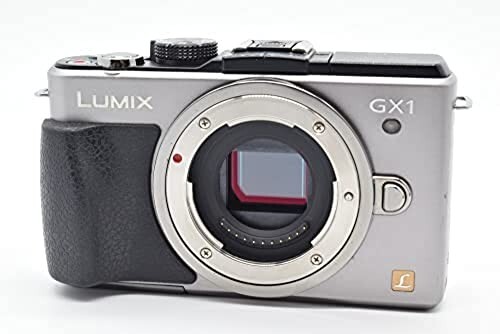 Panasonic DMC-GX1-S Mirrorless SLR Camera Lumix GX1 Silver 16MP