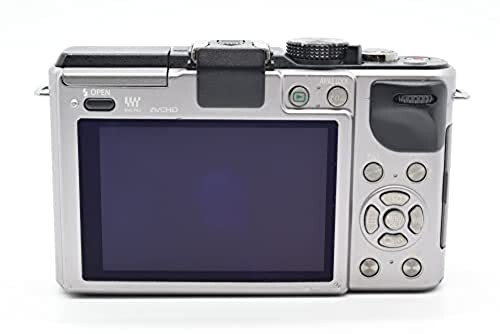 Panasonic DMC-GX1-S Mirrorless SLR Camera Lumix GX1 Silver 16MP