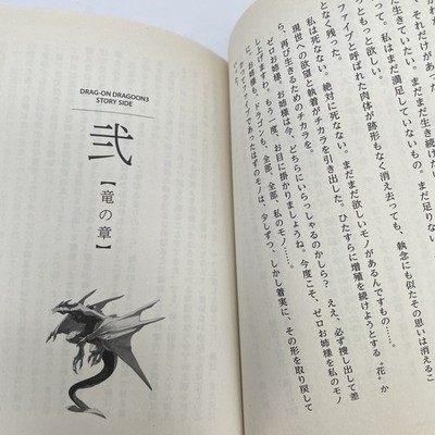 Novel Book DRAG ON DRAGOON 3 Story Side Novel by JUN EISHIMA QUARE