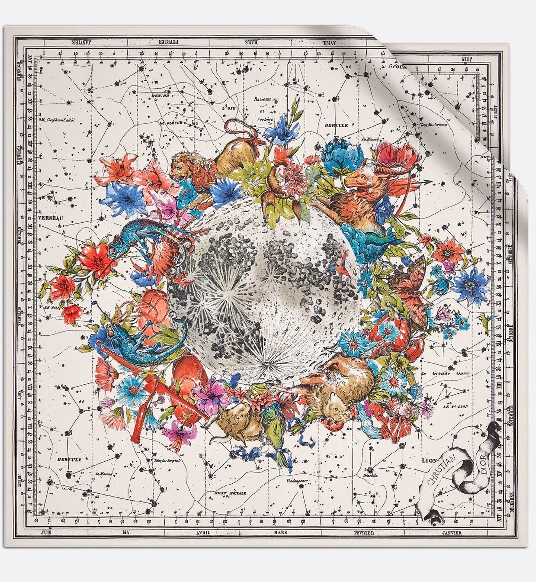 NWT Dior Zodiac 90 SQUARE SCARF | eBay