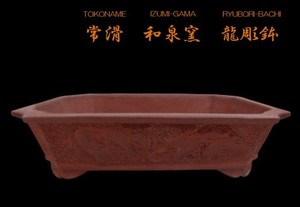 Groove Japan | eBay Stores