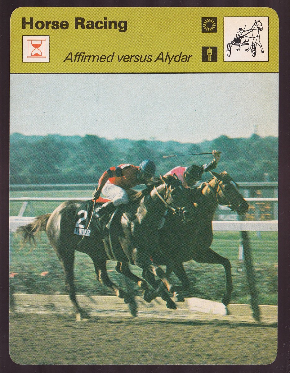 AFFIRMED vs ALYDAR Horse Racing Belmont Photo 1978 SPORTSCASTER