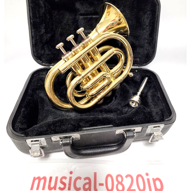 Jupiter Jpt-416 Pocket trumpet Musical instrument Hard Case | eBay
