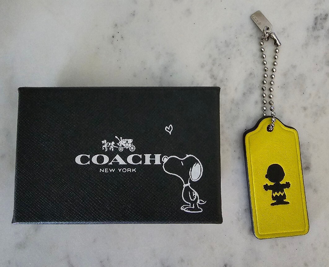 NIB COACH x PEANUTS Snoopy Charlie Brown Hang Tag Key Chain Bag