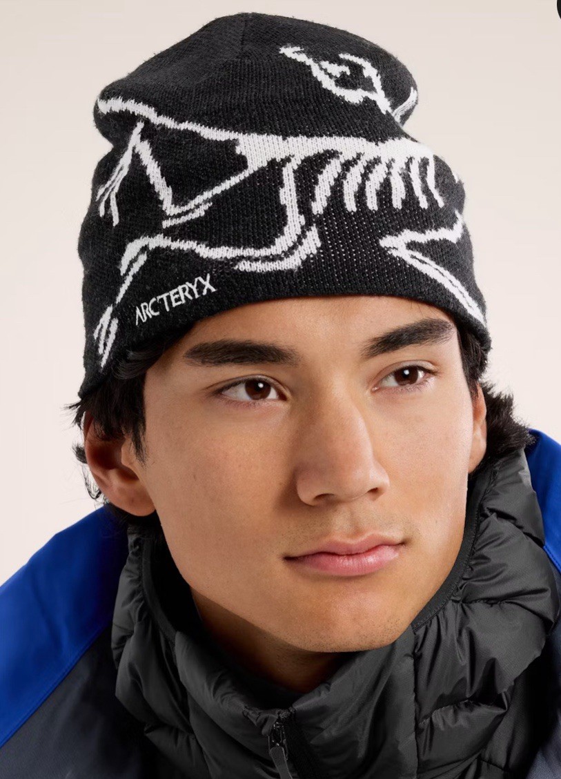 Arcteryx Arc'teryx BIRD HEAD Grotto TOQUE beanie Black | eBay