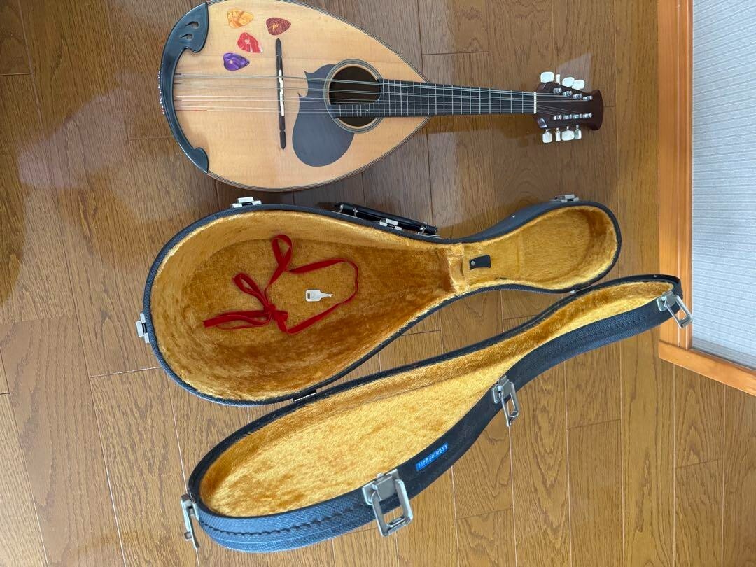 希少 SUZUKI マンドリン M-210 1974 ケース付き 希少 SUZUKI