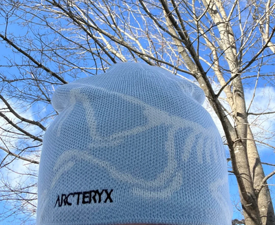 Arc'teryx Bird Head Toque Beanie Light Blue Merino Wool Unisex