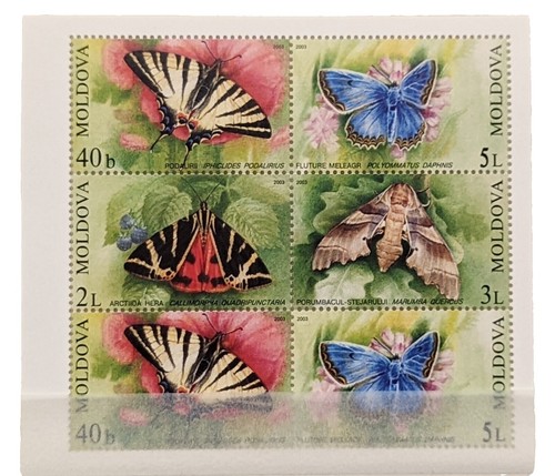 フェレMNTページ フェレMNTページ フェレMNTページ フェレMNTページ 92