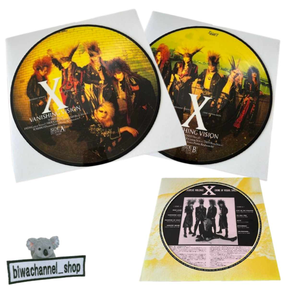 X Japan Vanishing Vision Picture Record LP Japan Record Vinyl