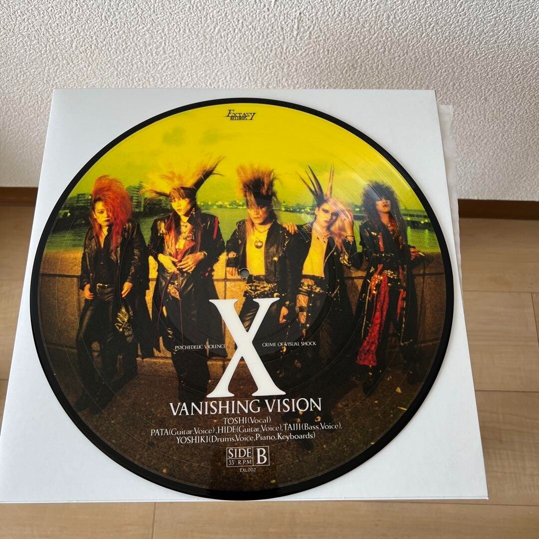 X Japan Vanishing Vision Picture Record LP Japan Record Vinyl