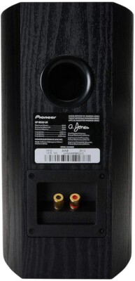 イネーブルド一体型】Pioneer SP-BS22A-LR 【日本未発売