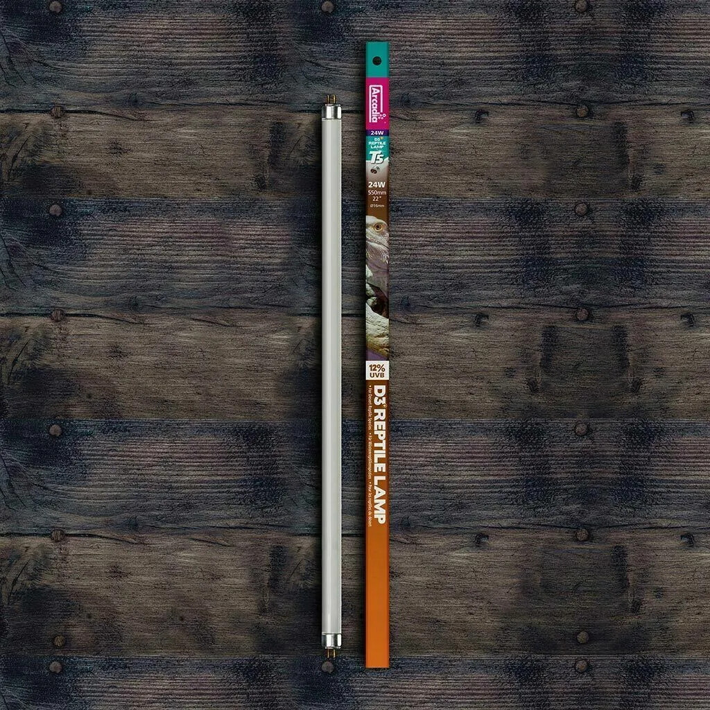 Arcadia Pro T5 12% 24W 22Inch UVB Desert Kit D3 Lamp Reptile