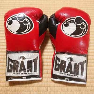 Guantes De Boxeo Grant | eBay