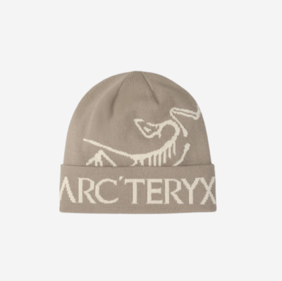 Arc'teryx Bird Word Toque Rune Arctic Silk, (100% Authentic) | eBay