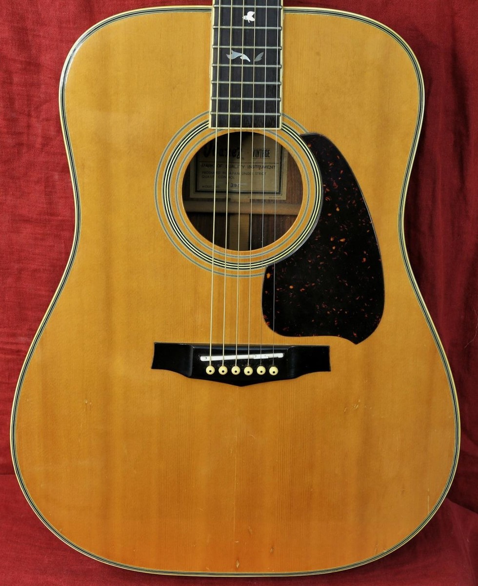 Ibanez V390 Tree of Life Vintage Series Acoustic Guitar w/ Hard