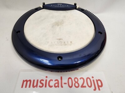 Korg Wavedrum Global Edition WD-X-GLB Percussion Synthesizer | eBay
