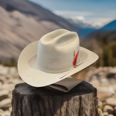 VTG Stetson 4X Beaver NRA Range Cowboy Hat 7 3/8 Silver Belly