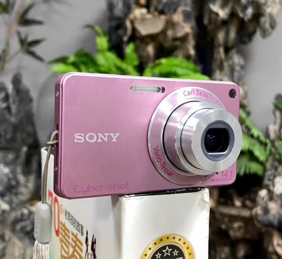 SONY Cyber-Shot DSC-W350 Digital Camera 4x Optical Zoom 14.1MP