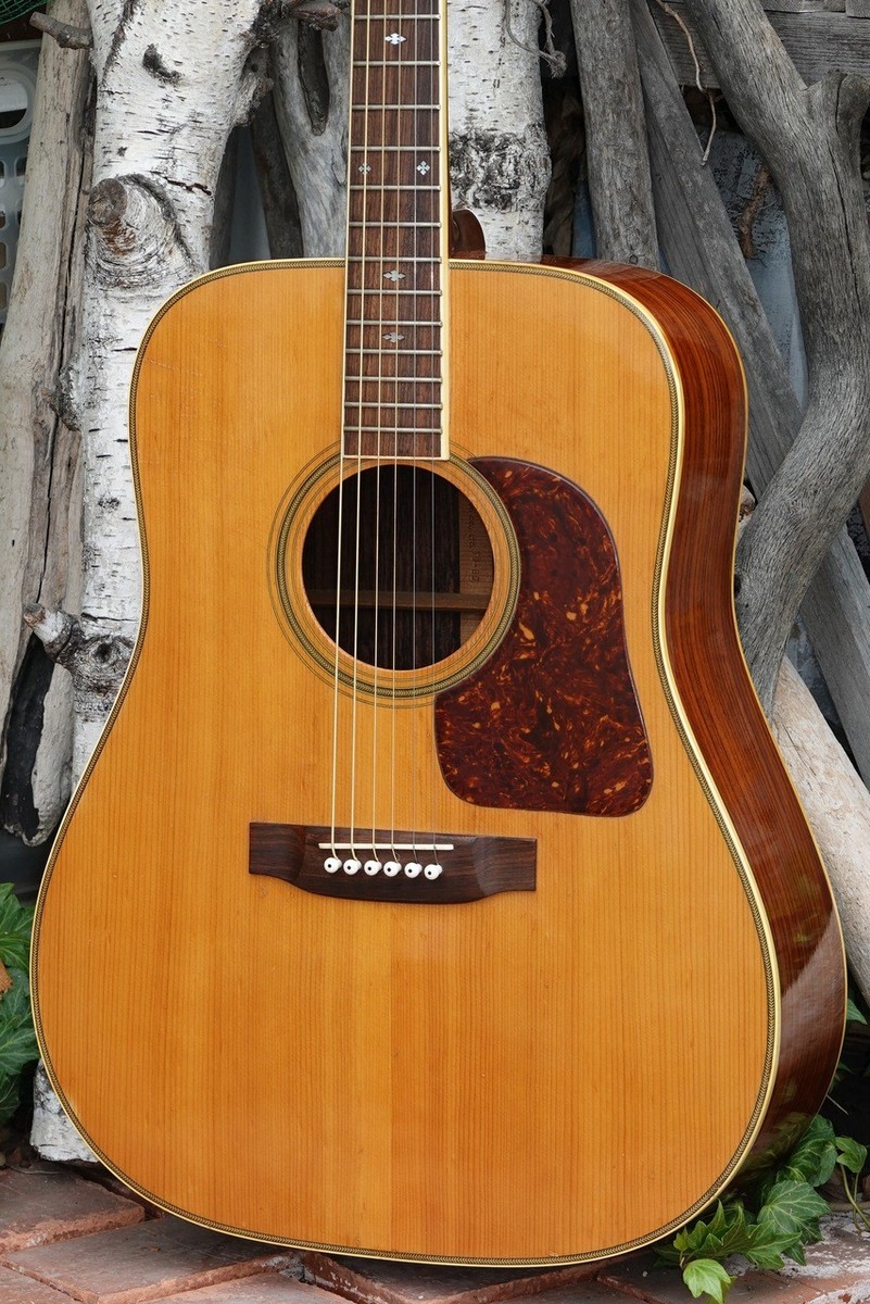 Takamine Elite TW-30 Acoustic Guitar Vintage MIJ Japan Rare | eBay