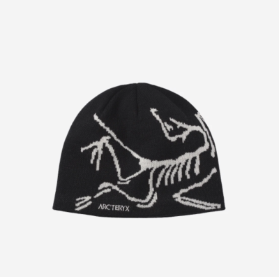 Arc'teryx Bird Head Toque Orca, (100% Authentic) | eBay