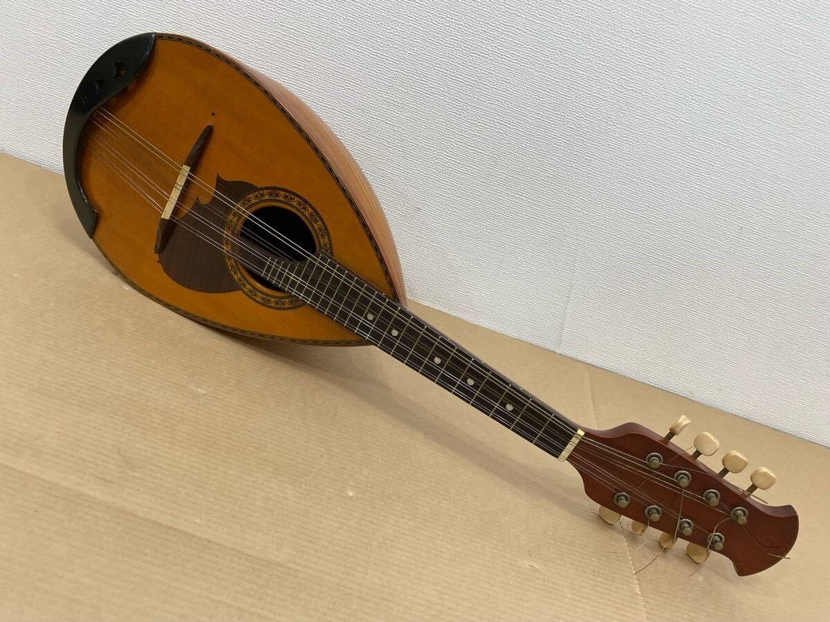 Suzuki Mandolin M-210 Brown Bowlback Entry Model violin | eBay