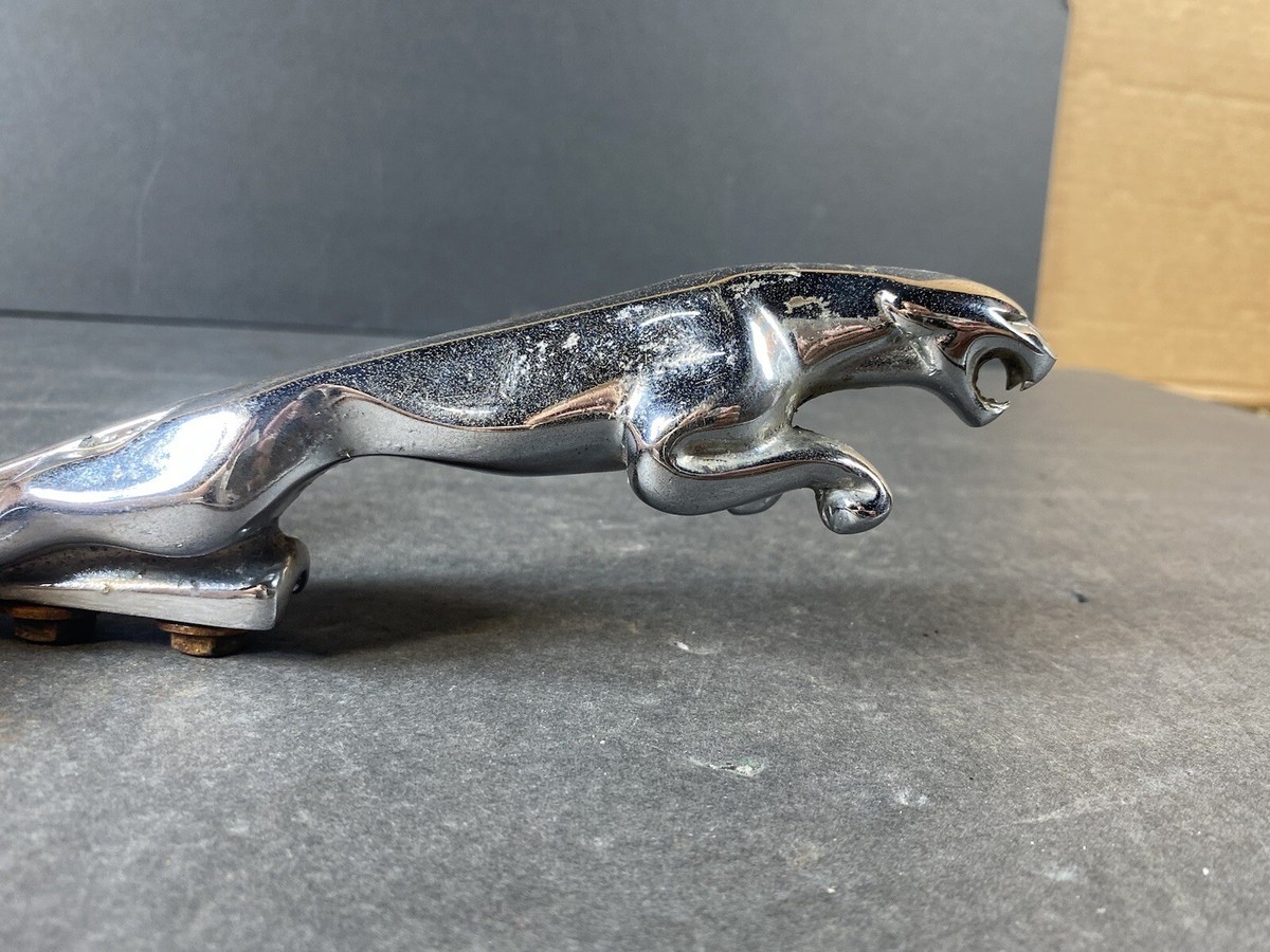 Vintage Jaguar Chrome Hood Ornament about 7.5 inches | eBay