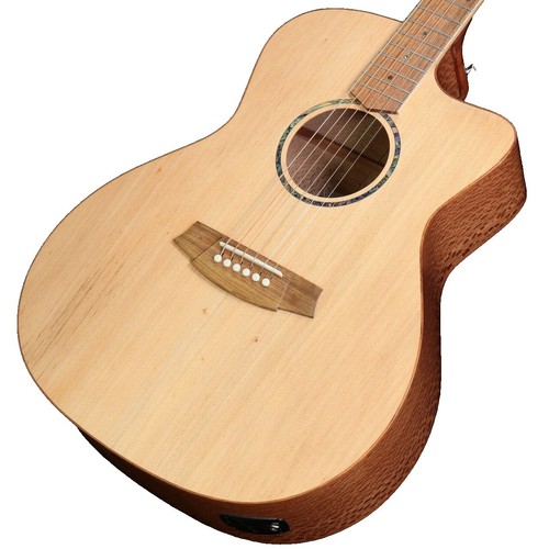 今月末まで Cole Clark FL1E-BM 最終値下げ 今月末まで Cole Clark