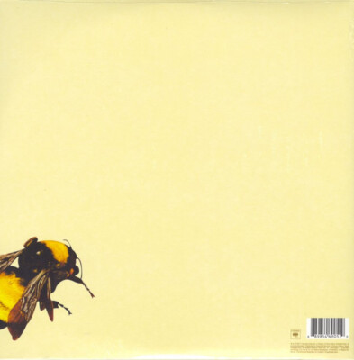 Tyler The Creator ‎- Scum Fuck Flower Boy 2 x LP NEW BK VINYL