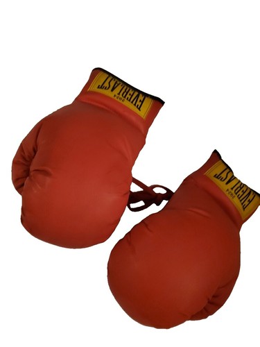 Supreme x Everlast Satin Hooded Boxing Robe FW17 (FW17A84) Size M