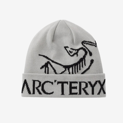 Arc'teryx Bird Word Toque Orca / Arc'teryx beanie | eBay