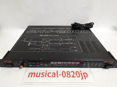 Roland SRV-2000 Digital Reverb Effect Rack Tested Working | eBay