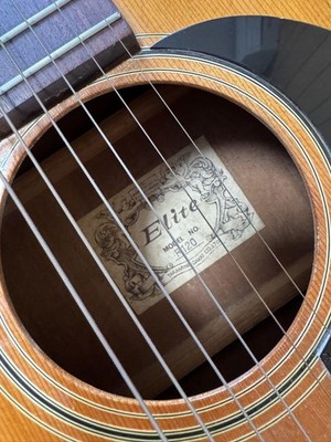 elite f120 takamine アコースティックギター Takamine Elite F120