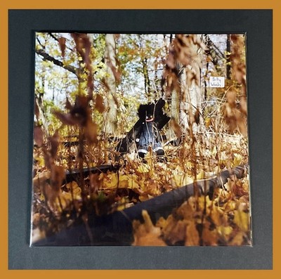 Billy Woods – Golliwog 2xLP On Vinyl Conscious Hip Hop Backwoodz