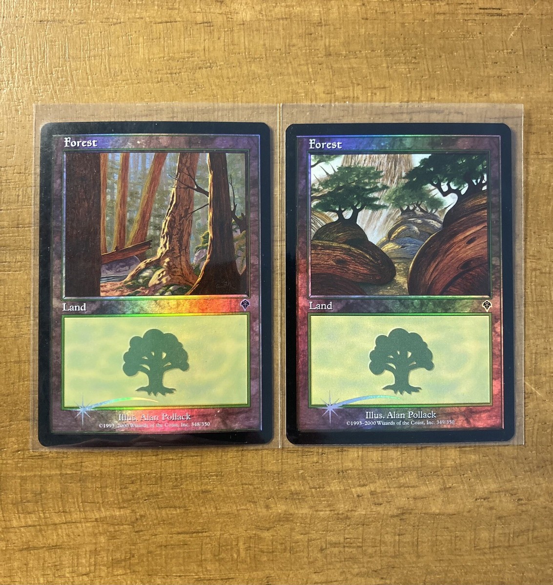 MTG✨FOREST FOIL Lands Set✨Invasion NM/M Common 2000 A. Pollack