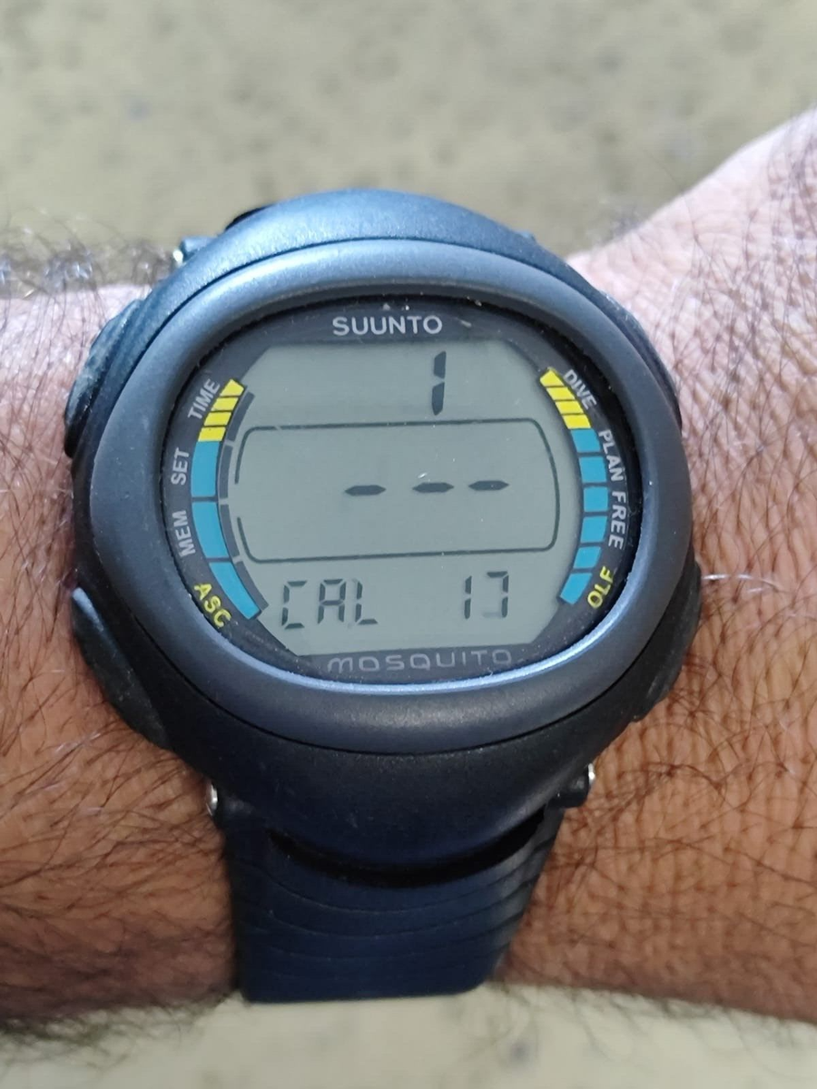 Suunto Mosquito Quartz Watch Black Dial Gray Unisex Watch NOT Work