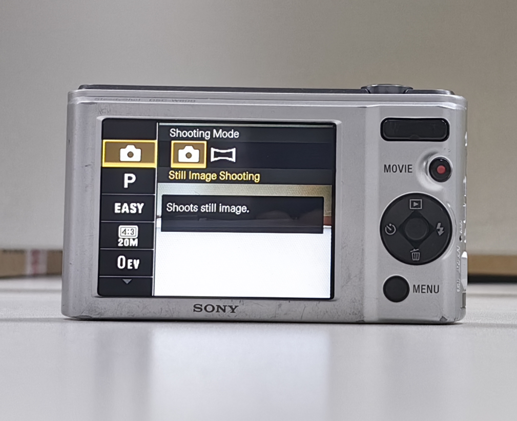 Sony Cyber-shot DSC-W800 20.1 MP 5x Optical Zoom Digital Camera