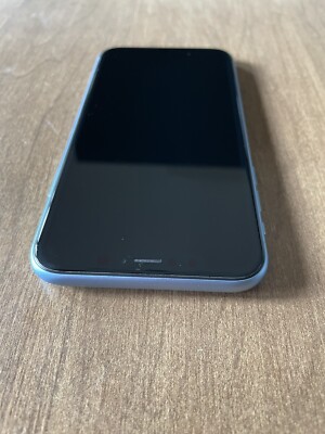 Apple iPhone Blue XR 64GB Fully Unlocked | eBay