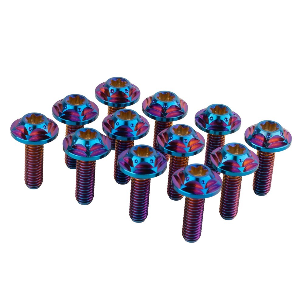 Blue M6 x 20mm Titanium Brake Rotor Tapered Torx Bolts Screws