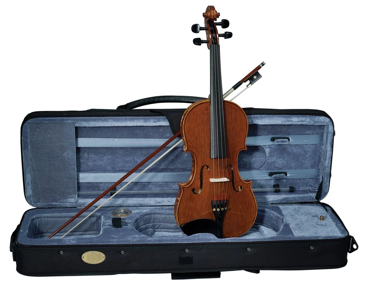 Stentor 4/4 Size Orchestral Violins for sale | eBay