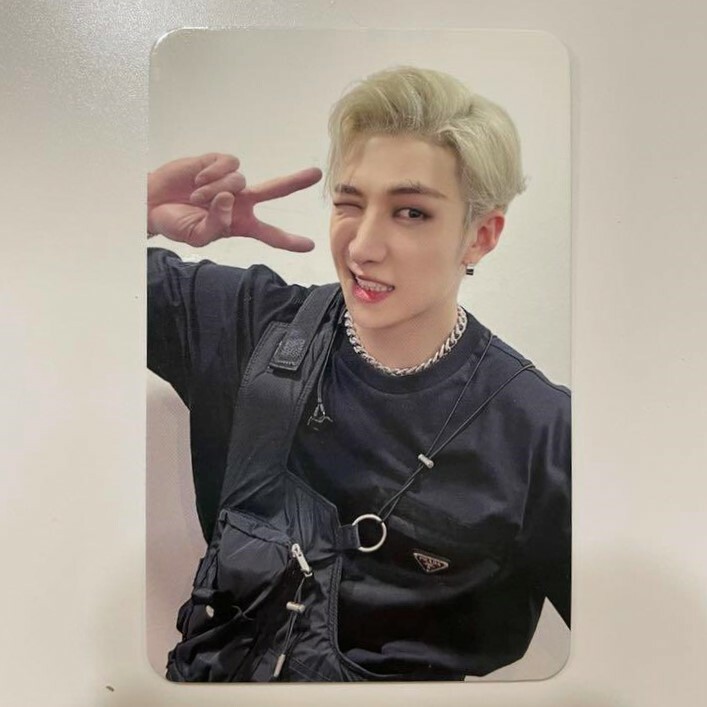 stray kids skz Oddinary Shopee official pob photocard photo card