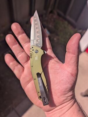 Kershaw Dividend N690 + CPM-D2 COMPOSITE BLADE Spring Assist A/O